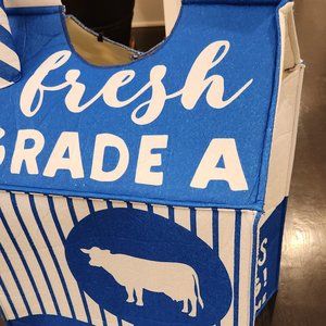 HALLOWEEN COSTUME - Milk Carton